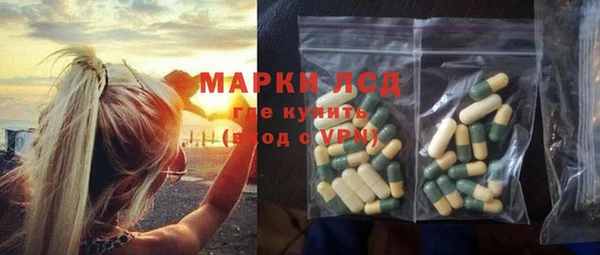 PSILOCYBIN Алзамай