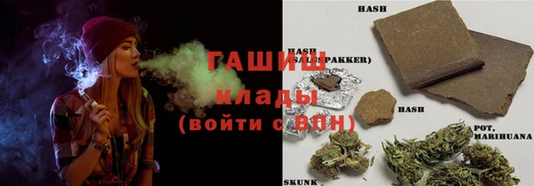 PSILOCYBIN Алзамай