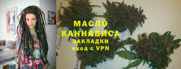 PSILOCYBIN Алзамай