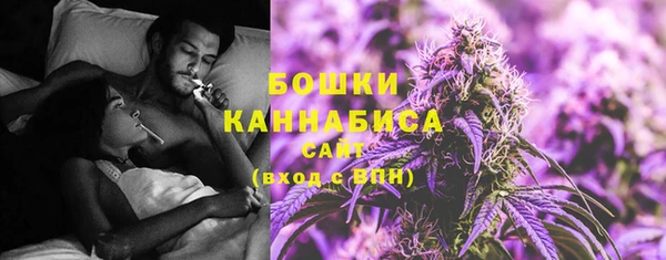 PSILOCYBIN Алзамай