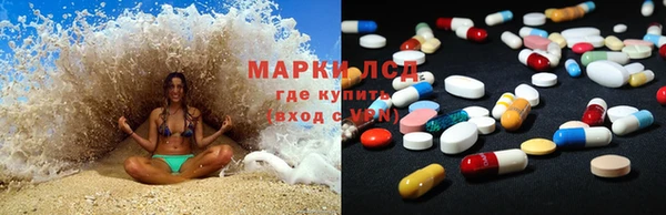 PSILOCYBIN Алзамай