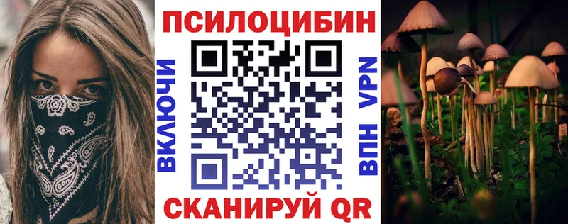 Купить  Голицыно  Галлюциногенные грибы GOLDEN TEACHER 
